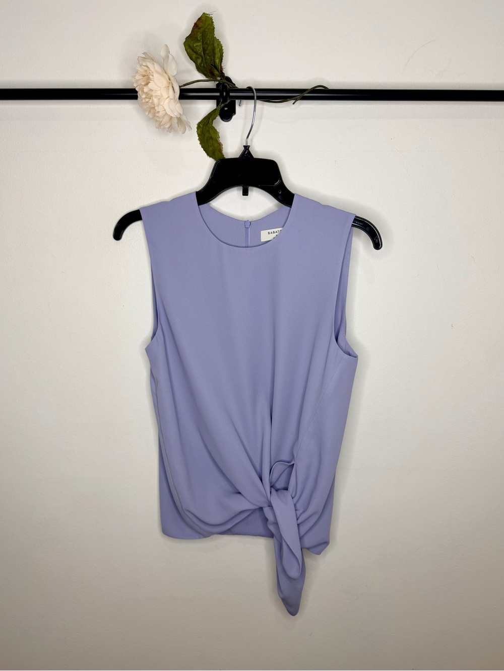 Babaton (Aritzia) ‘Hopkins’ Sleeveless Blouse